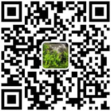 關(guān)注你附近